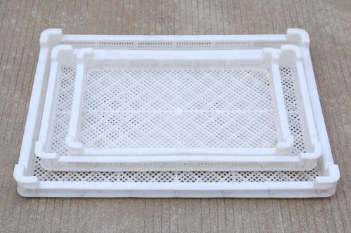 合水塑料速冻盘价位解析与塑料制品技术研发趋势